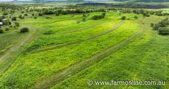 Top lifestyle property with cultivation and grazing opportuunities | Video