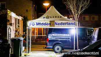 Politie onderzoekt meldingen verward gedrag verdachte steekpartij Nieuwegein