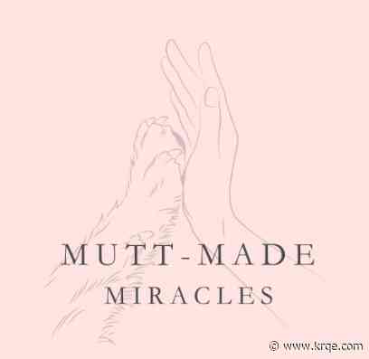 Local animal nonprofit holding event to help California fire victims