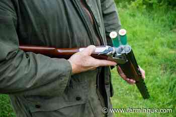 Group of MPs call for government to ditch gun licence fee increases