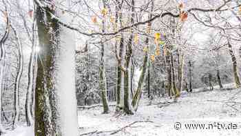 Wetterwoche im Schnellcheck: Winterhoch bringt Sonne, Nebel und Nachtfrost