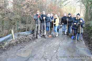 Vrijwilligers vrezen dat kikkers gaan platgereden worden door slechte staat van wegdek: “De diepe plassen zijn misleidend”