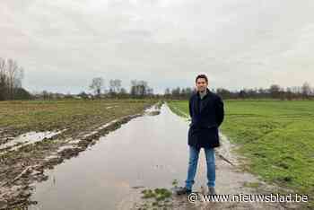 Nieuwe trage wegen in Belzele en Wippelgem: “Dankbaar dat de privé-eigenaren zo enthousiast zijn”