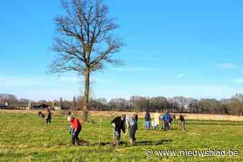 Nieuw bos moet zeldzame dieren naar Grote Nete zuigen