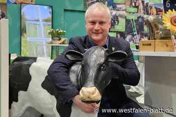 Was Kühe in Windeln mit einem Medienkompetenz-Projekt zu tun haben