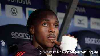 Nächste Wende im Tel-Poker? Gespräche zwischen Bayern und United wohl gescheitert