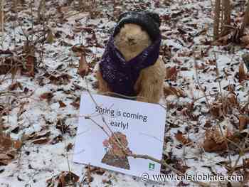 Stuffed rodent predicts early spring