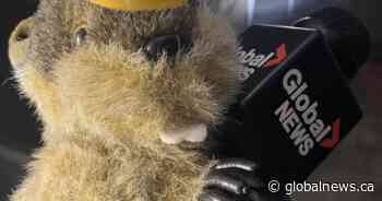 Manitoba Merv predicts early spring in annual Groundhog Day forecast