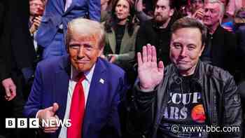 Musk team given access to sensitive federal payment system - reports