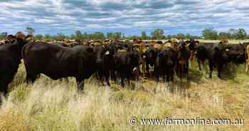 SLM's regenerative cattle operation with carbon projects seeking $120m-plus