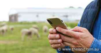 Optus and Vodafone arrive at regional network service table