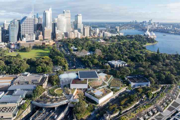 SANAA in Sydney: Interview with Art Gallery of NSW director