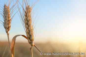 Dollar sags on Trump factor