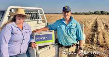Biological source of nitrogen applied as a foliar to help lower cost of synthetic inputs