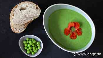Alternative Proteine: Die Erbse ist der Star
