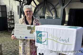 Subsidies voor renovatie KSA-gebouw