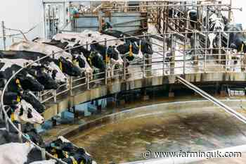 British milk production forecast to grow by 1.1% this year