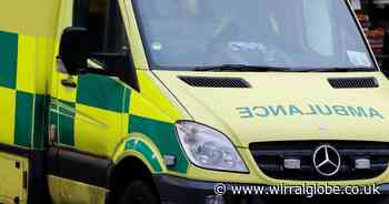 Emergency services called after man's body found in River Mersey