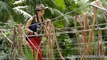 Der TV-Markt im Januar: RTL wieder zweistellig, ARD und ZDF stark dank Handball und Wintersport