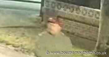 Images released after tools worth more than £1,000 stolen from van