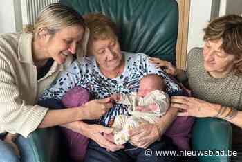 FOTO. Familiegeluk in vier laagjes: eerst vier generaties jongens, maar de meisjes doen ook mee