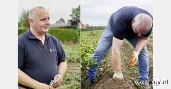 "Ondanks hoge aardappelprijzen wil iedereen zijn voorraad voor het seizoen aangevuld hebben"