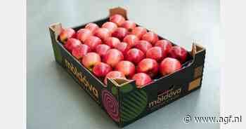 Moldavische appelexporteurs niet ontmoedigd door plots fors hogere energieprijzen