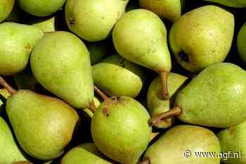Grote batterij voor koelcellen: “Voor duurzame groene peren”