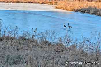 Morning Notes for February 3, 2025