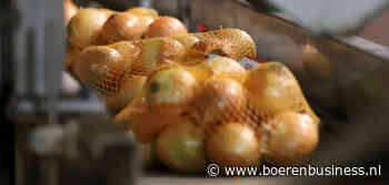 Alle kansen voor betere gele uienprijzen