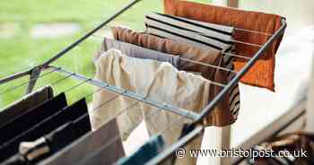 Professor says £28 device could save your life, and your children