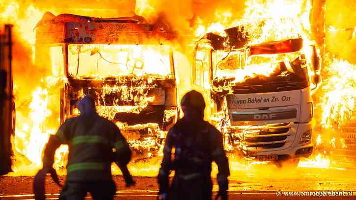 Minderjarige jongens opgepakt voor grote brand bij transportbedrijf