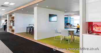 Lottery work helps Newcastle tech firm increase turnover by 16% - but operating profit slips