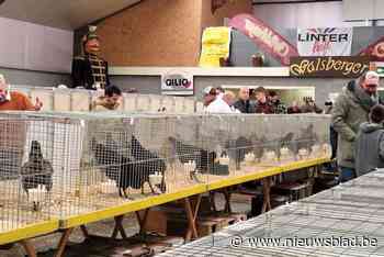 Vechthoendershow afgelast na uitbraak vogelgriep bij twee kwekers: “We willen geen enkel risico nemen voor onze dieren”