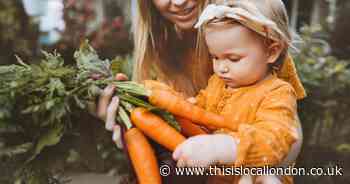 Vote for Your Favourite Local Butcher, Farm Shop or Deli