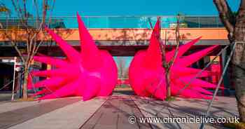 North East artist Steve Messam goes big in China with giant artworks