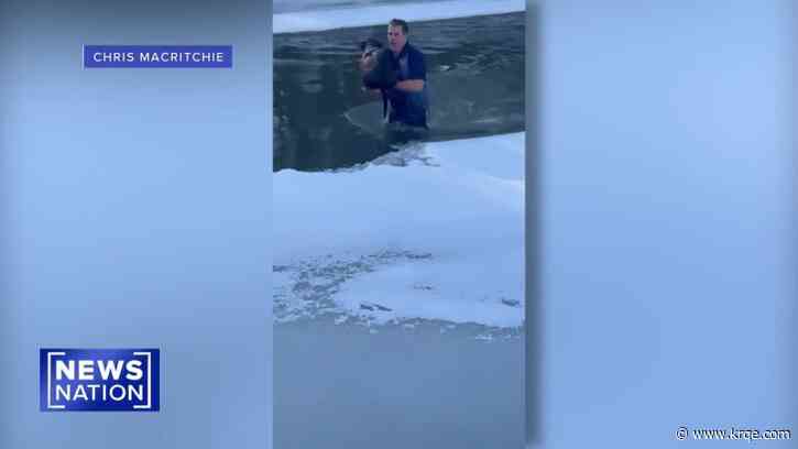 Vermont man jumps into frigid river to rescue dog: 'It felt great'