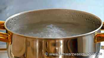 Wasserpetition in Wildberg: Das sagt die Stadt zu den Einschüchterungsvorwürfen gegen Initiatorin