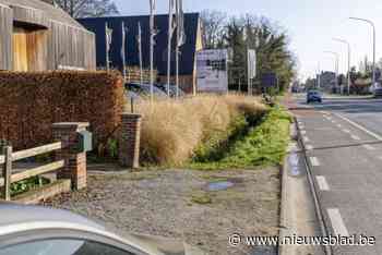 Stad maakt werk van heraanleg Leuvensesteenweg, bewoners vragen om plannen aan te passen: “Impact op leefbaarheid en veiligheid”