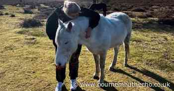 Backlash as Gemma Collins called out for ‘silly behaviour’ after hugging Forest pony