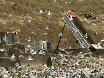 Saskatoon ponders changes to garbage and organics collection for multi-unit housing