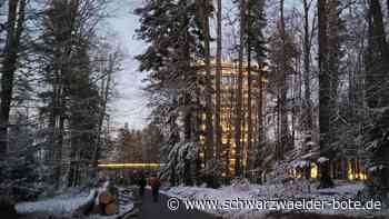 Baumwipfelpfad Bad Wildbad: Lichterzauber wird verlängert