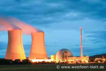 Schadensersatz vom Bund für Grohnde-Abschaltung?