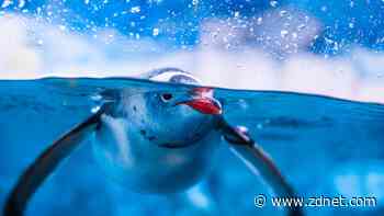 'Tiny' Linux 6.14-rc1 released: What's new in 500,000 lines of modified code