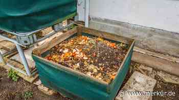 Typische Kompost-Fehler: Diese 11 Dinge dürfen nicht auf den Haufen