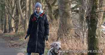 'Pulsing' implant helped Newcastle nurse deal with chronic back pain and lose 3 stone