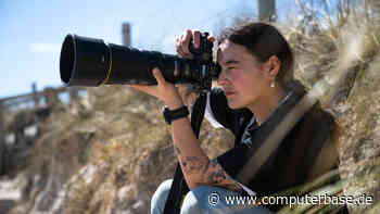 CB-Fotowettbewerb: Im Februar geht's um Bilder von Vögeln (Update)