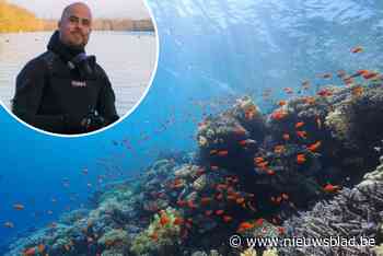 Verzorger Zoo Antwerpen vertelt 101 nutteloze ‘Vis’-je-datjes: “Vissen kunnen verbranden door de zon”