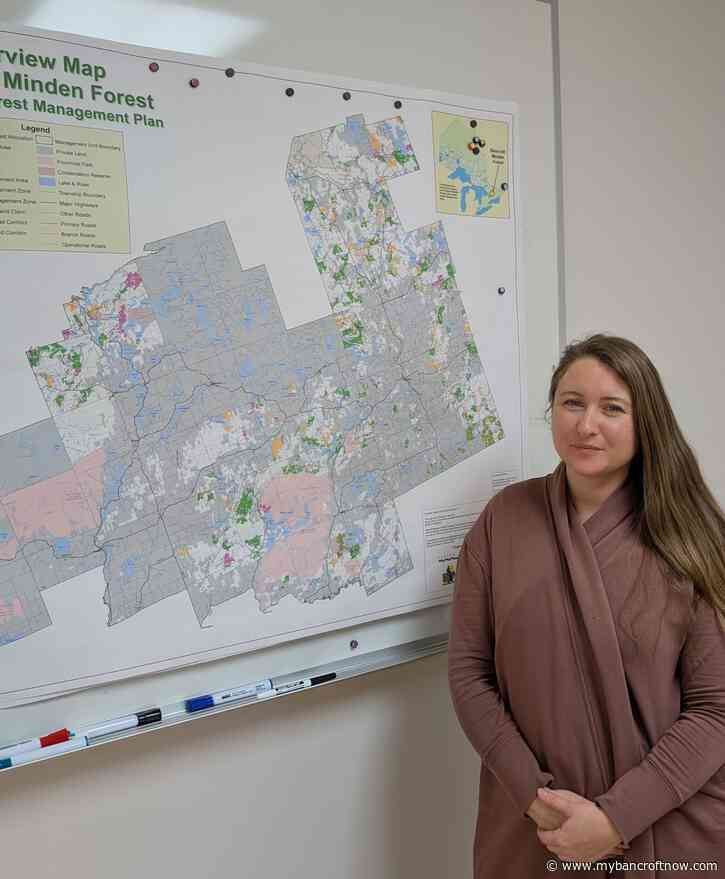 Tariffs likely to bring more hardship to already struggling industry says Bancroft-Minden Forest Company 