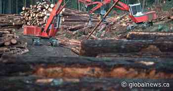 Trump’s tariff threat casts long shadow over Canadian forestry